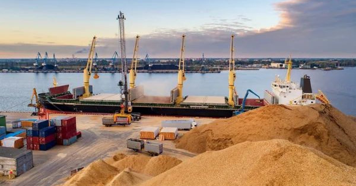 Українські порти обробили понад 15 млн тонн вантажів з початку року