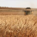 Аграрії отримають 80 млрд грн пільгових кредитів для подолання наслідків російської блокади Чорного та Азовського морів